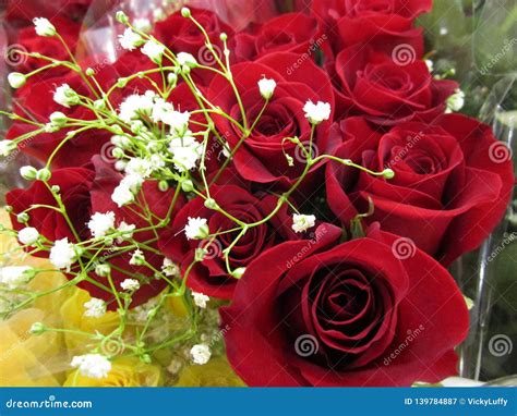Bright Sweet Red Rose Bouquet Flowers Close Up Stock Image Image Of