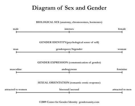 Diagram Of Sex And Gender Cultural Bridges To Justice
