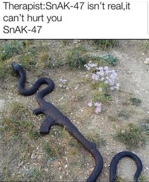 The Best Snake Memes Memedroid