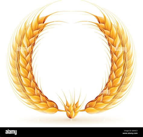 Vector Realistic Wheat Wreath Design Stock Vector Image And Art Alamy