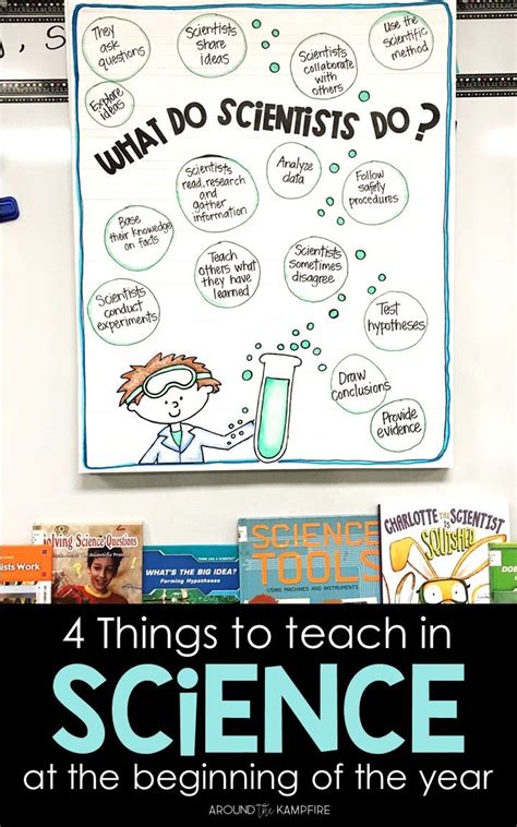Back To School Science Ideas In 2nd Grade First Grade Science Second