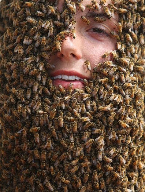 Weird News Amazing Man Struggle For Develop The Biggest Beard Of Bees