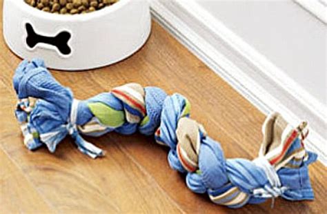 27 Spectacular Diy Pet T Craft Ideas Hubpages