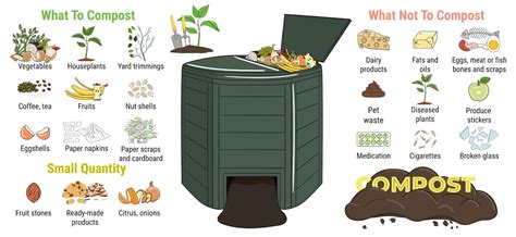 Composting 101 How To Create Your Own Compost Bin