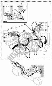 Mv Agusta F4 750 Wire Diagram