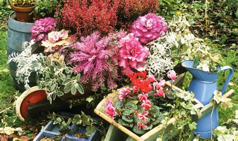 Browse our beautiful flowers and have gorgeous bouquets sent with a freshness guarantee from one of the best flower delivery services in the uk. Alan Titchmarsh's tips on all year round planting ...