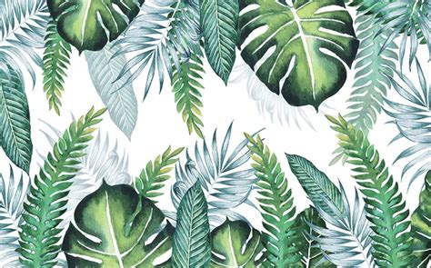 Tropical Palm Leaf Wallpapers Top Hình Ảnh Đẹp
