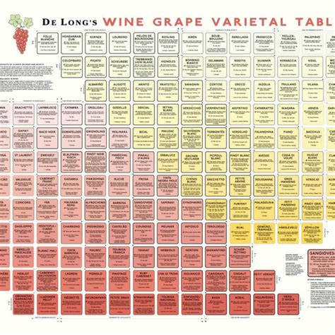 Napa General Store Wine Grape Varietal Table Poster