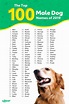 Most Popular Dog Names in the USA | Dog names, Dog names male, Best dog ...