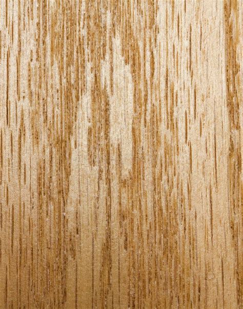 Oak Wood Grain Stock Photo Image 3047910