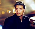 David Boreanaz: How He Ended A Sexual Harassment Suit