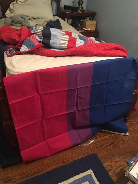 Draping A Bi Pride Flag On My Bed Until My Dad Figures Out Im Bi Day 3 Rbisexual