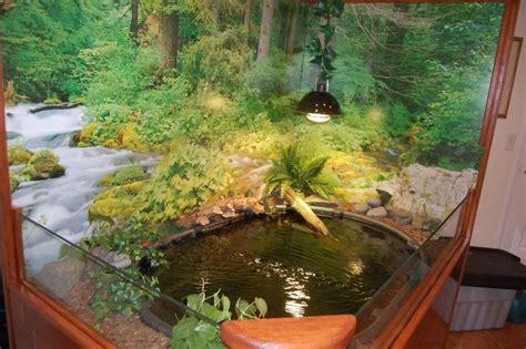 Indoor Turtle Pond Love This It Would Be Amazing For My Tiki If There
