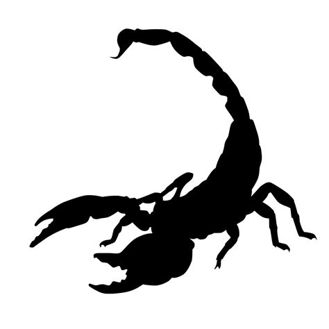 Scorpion Silhouette Free Stock Photo Public Domain Pictures