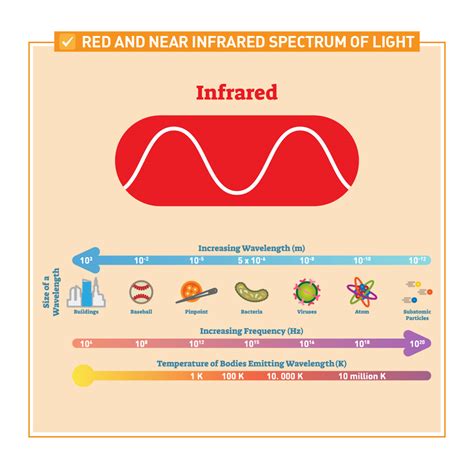 The Benefits Of Red Light Therapy Laptrinhx News