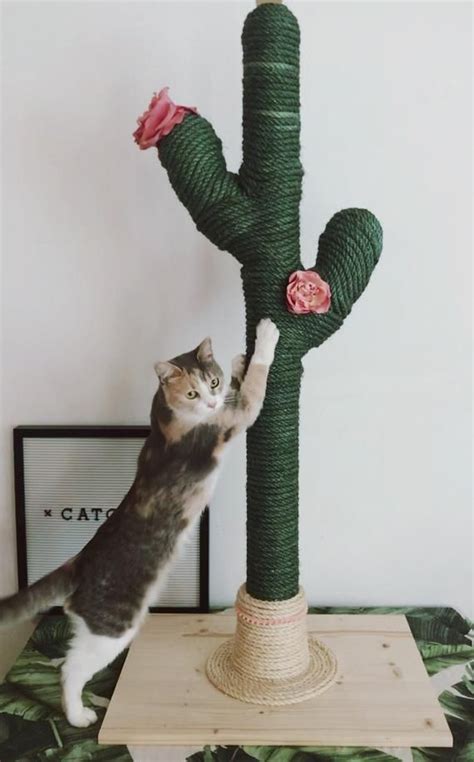 Don't worry about your cats becoming too fat. CACTUS for CATS | CATCUS | Scratching Post | Cat Tree ...