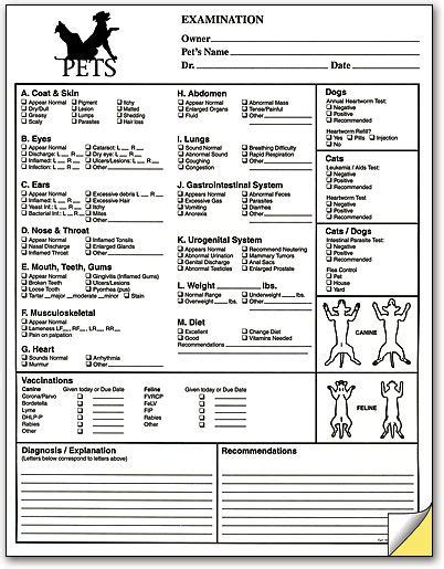 Pet Exam Form Vet Medicine Veterinary Receptionist Veterinary Clinic