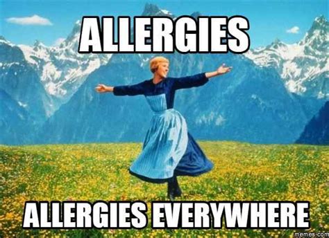 Funny Allergy Season Images Resolutenessforyou