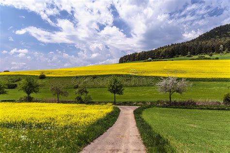 German Spring Countryside Landscape Stock Photo Image Of Spring