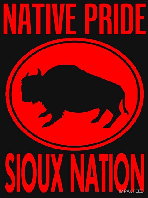 Native Pride Sioux Nation T Shirt By Impactees Redbubble