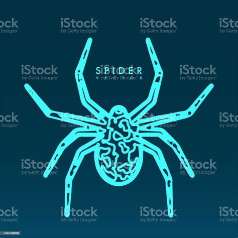 Abstract Spider Illustration Stock Illustration Download Image Now
