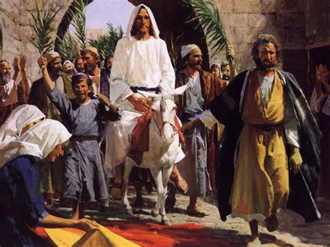 Reflections By Fr John Picinic Palm Sunday Jesus Enters Jerusalem