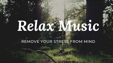 Relaxing Music For Stress Relief And Sleep Relaxing Music Piano