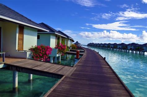 Sun Island Resort And Spa Updated 2018 Reviews And Price Comparison Nalaguraidhoo Island