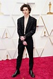 Timothée Chalamet sorprendió en los Oscars 2022 con traje de Luis ...