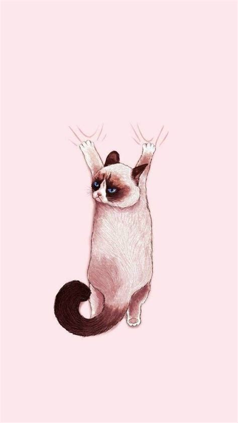 We hope you enjoy our growing collection of hd images to use as a background or home screen for your smartphone or computer. Image result for cat aesthetic wallpaper desktop | Iphone ...