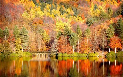 Beautiful Lake Reflection Autumn Mac Wallpaper Download Allmacwallpaper