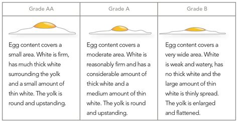 Everything You Need To Know About The Grades Of Eggs Allrecipes