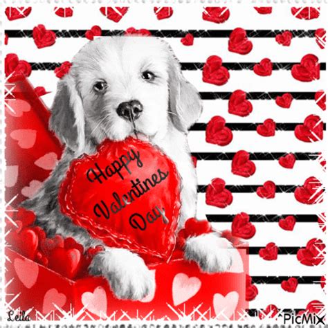 Happy Valentines Day Doggy Pictures Photos And Images For Facebook