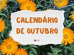 Calendário de outubro de 2022: feriados e datas comemorativas | Fashion ...