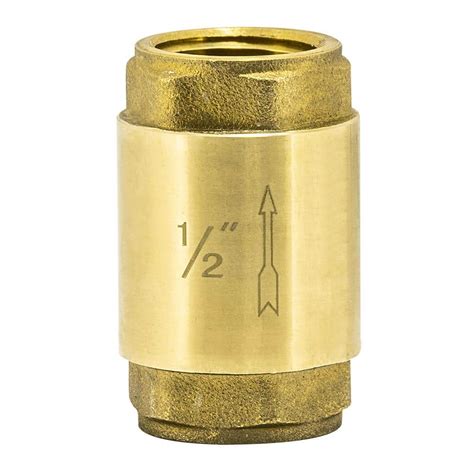 Ez Flo 12 In Ips Brass In Line Check Valve 20401lf The Home Depot