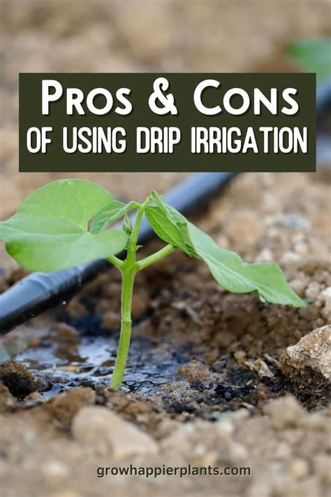 Drip Irrigation Pros And Cons Garden Watering System Drip Irrigation