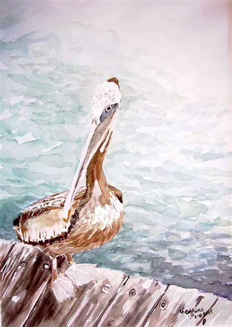Pelican Watercolor Pelican Arts And Crafts Watercolor Bird