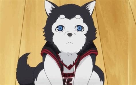 Update More Than 72 Dog Characters Anime Best Vn
