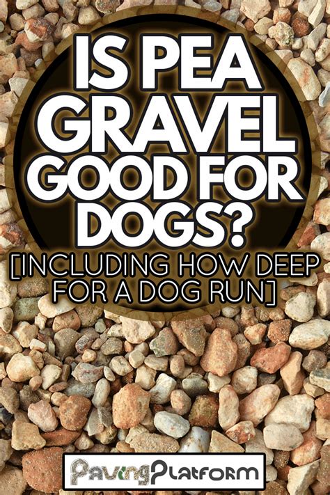 Is Pea Gravel Good For Dogs Including How Deep For A Dog Run