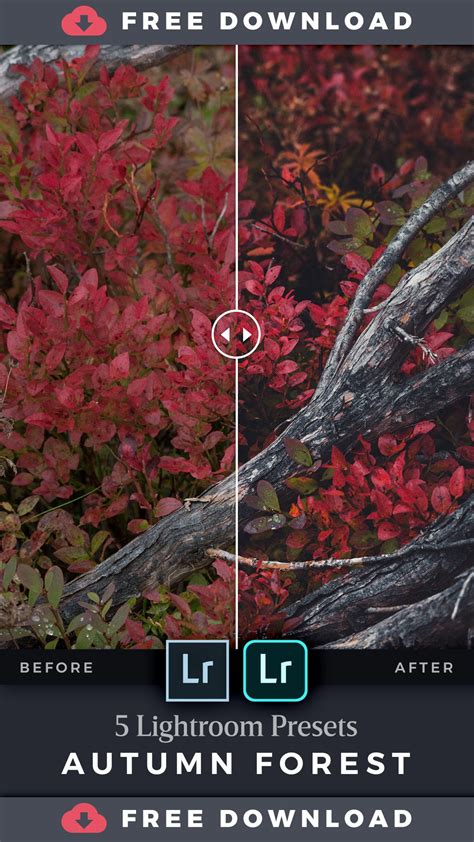 Free astrophotography lightroom presets (desktop and mobile). FREE Adobe Lightroom Presets for Autumn Landscapes | Free ...