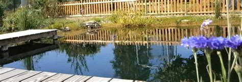 Piscine Naturelle Et écologique Jardin Aquatique étang De Baignade