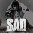 Freestyle Sad - Single by Yerardo | Spotify