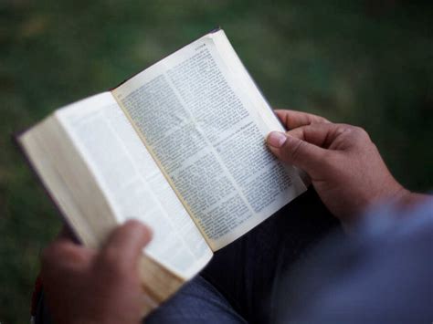 same bible different verdict on gay marriage npr