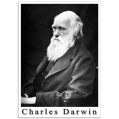 Charles Darwin In His Later Years Photographic Portrait Poster Just