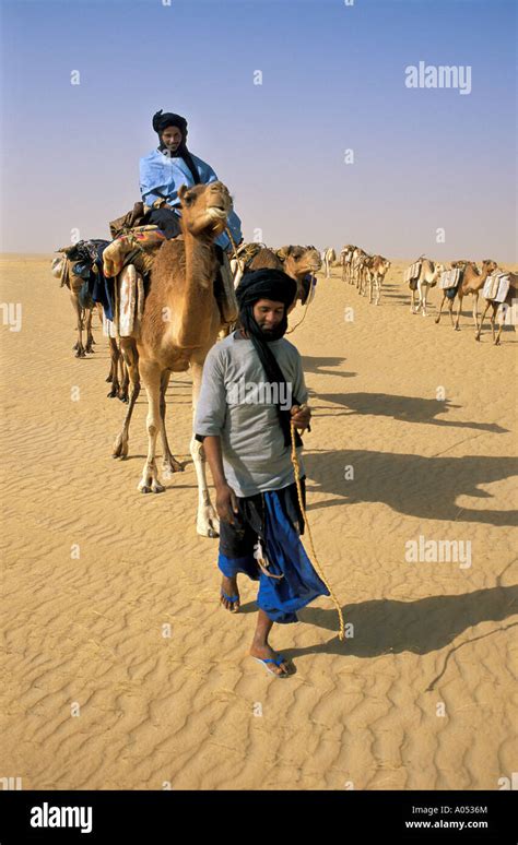 Salt Caravan In Great Sahara Mali Africa Stock Photo Alamy