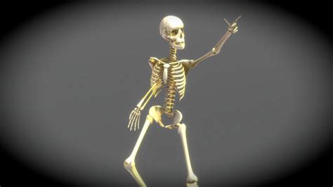 Skeleton, Bones of Ray - Download Free 3D model by chambersu ...