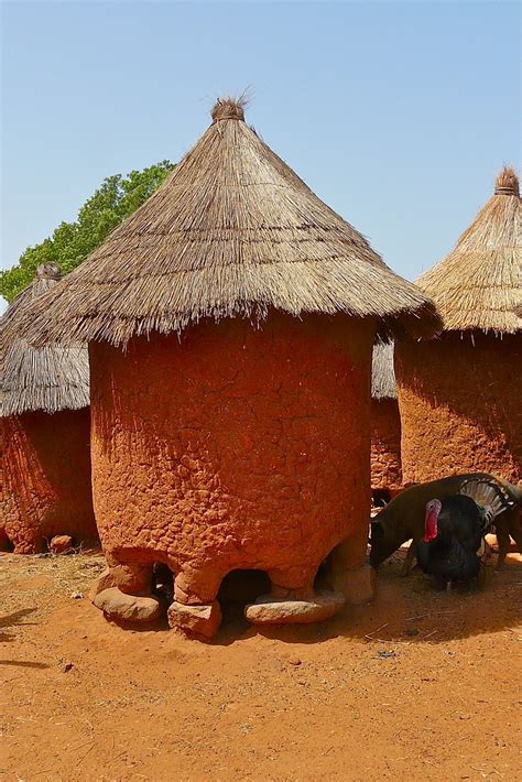 Pays Sénoufo Burkina Faso Typical Granaries In De Omgev Flickr