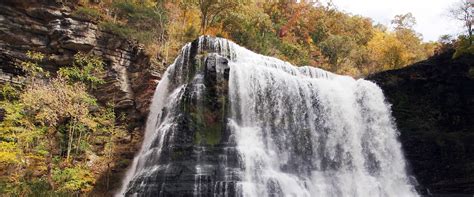 We did not find results for: Burgess Falls State Park - Cunningham Cabins