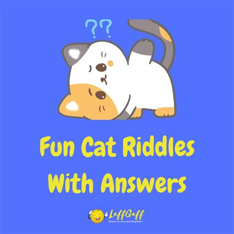 30 Fun Cat Riddles And Answers Laffgaff