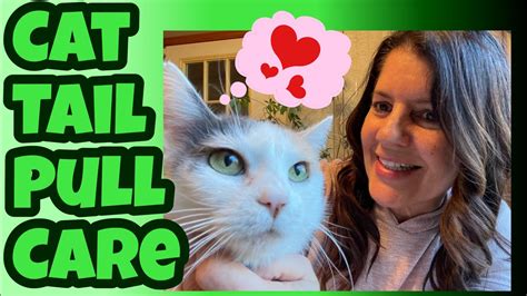 Cat Tail Pull Injury 6 Year Update 😺 Special Needs Care Routine For